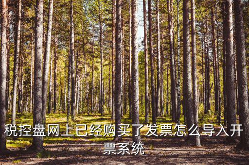 如何進入開票系統(tǒng)，怎么進入國家稅務局發(fā)票填開系統(tǒng)