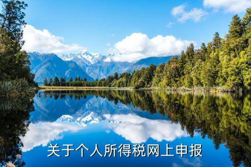 網(wǎng)上如何啟用個(gè)稅，如何打開(kāi)個(gè)人所得稅申報(bào)表的明細(xì)