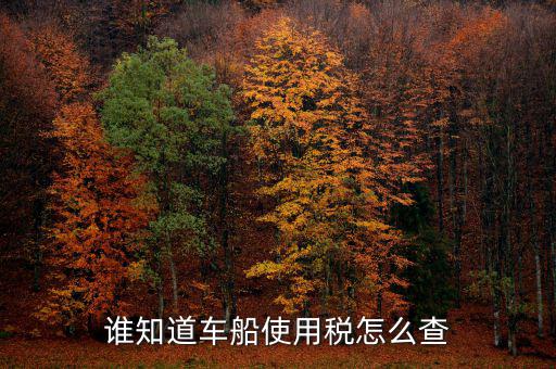 如何查詢自己交車船稅，車船稅交沒交能在網(wǎng)上查詢嗎