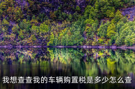 如何看購(gòu)置稅發(fā)票，我想查查我的車(chē)輛購(gòu)置稅是多少怎么查