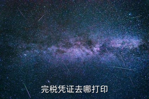 如何打印地稅完稅憑證，地稅繳款憑證如何打印