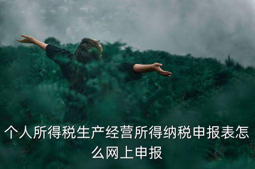 生產(chǎn)經(jīng)營所得如何網(wǎng)上申報，個體工商戶網(wǎng)上申報怎么做