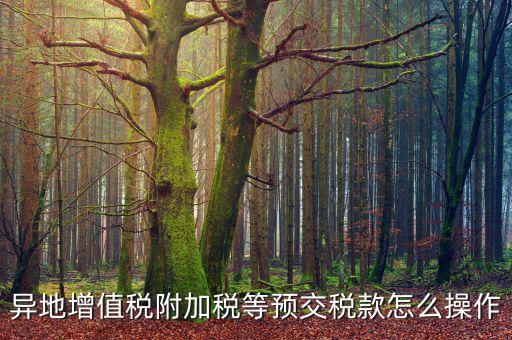跨區(qū)稅源登記 如何繳納附加稅，異地增值稅附加稅等預(yù)交稅款怎么操作