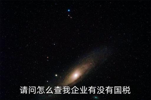 企業(yè)如何查詢國稅繳稅，怎樣查詢國稅繳稅信息