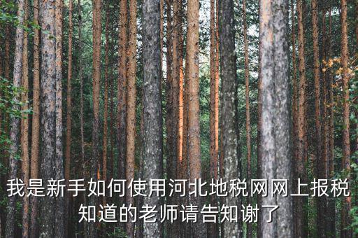 河北省地稅網(wǎng)上申報如何操作，地稅網(wǎng)上申報如何操作