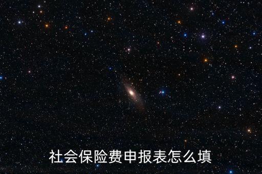 稅務(wù)系統(tǒng)社保費申報表如何填報，社會保險費申報表怎么填
