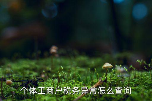 個(gè)體工商戶(hù)稅務(wù)異常怎么查詢(xún)