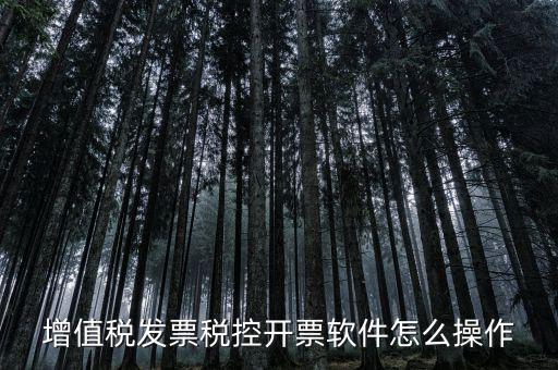 百望開(kāi)票軟件如何開(kāi)票，百望開(kāi)票系統(tǒng)發(fā)票抬頭有符號(hào)怎么打