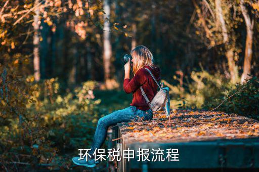 噪聲如何填寫環(huán)保稅，環(huán)保稅如何申報
