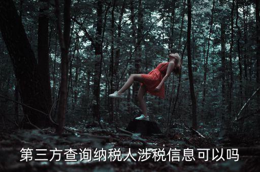 第三方查詢(xún)納稅人涉稅信息可以嗎