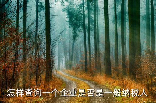 遼寧如何查一般納稅人，怎樣查詢一個企業(yè)是否是一般納稅人