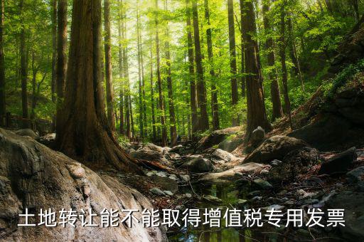 轉(zhuǎn)讓土地如何開票，土地轉(zhuǎn)讓能不能取得增值稅專用發(fā)票