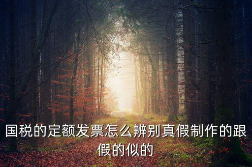 如何驗(yàn)證定額發(fā)票，國(guó)稅的定額發(fā)票怎么辨別真假制作的跟假的似的