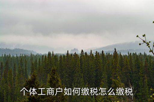 福建企業(yè)如何繳稅，企業(yè)所得稅是多少