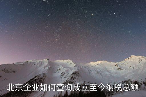 北京如何查詢公司的納稅等級(jí)，在國稅局要查一個(gè)公司的納稅情況怎么查