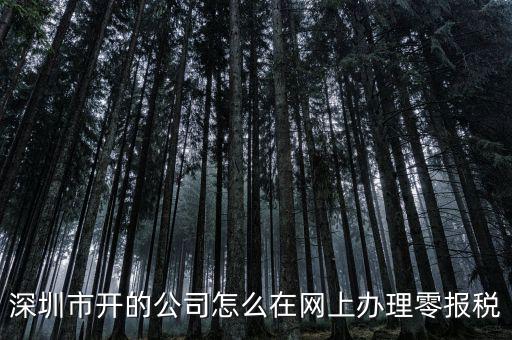 深圳如何在網(wǎng)上辦理納稅，深圳市開(kāi)的公司怎么在網(wǎng)上辦理零報(bào)稅