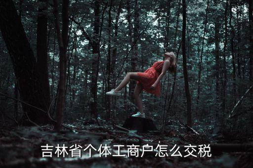 吉林個(gè)人所得稅如何申報(bào)，個(gè)人所得稅申報(bào)問(wèn)題吉林省
