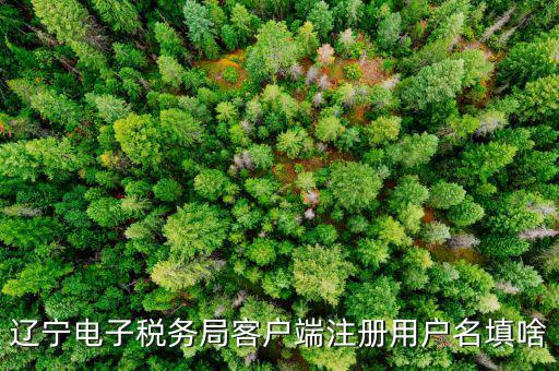 如何注冊社保電子稅務(wù)局賬號，遼寧電子稅務(wù)局客戶端注冊用戶名填啥