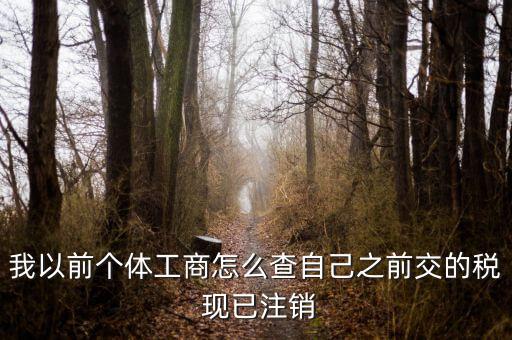 如何查詢稅務(wù)注銷，我以前個(gè)體工商怎么查自己之前交的稅 現(xiàn)已注銷