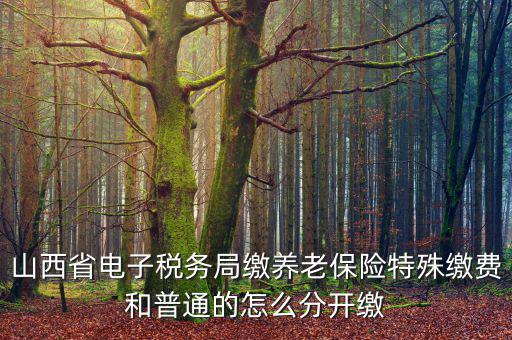 山西養(yǎng)老保險如何和國稅局對接，交養(yǎng)老保險交到國家稅務(wù)總局怎么辦