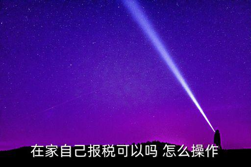 如何自行申報(bào)納稅，在家自己報(bào)稅可以嗎 怎么操作