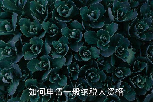 一般納稅人如何申請B級，一般納稅人B類企業(yè)如何申報(bào)企業(yè)所得稅