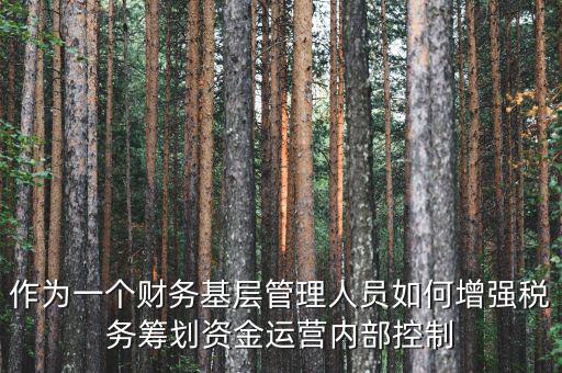 作為一個財務(wù)基層管理人員如何增強(qiáng)稅務(wù)籌劃資金運營內(nèi)部控制