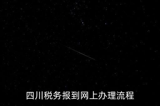四川企業(yè)地稅如何網(wǎng)上申報系統(tǒng)，稅務申報如何網(wǎng)上申報