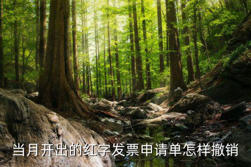 如何撤銷紅字發(fā)票申請(qǐng)書，紅字申請(qǐng)單如何作廢
