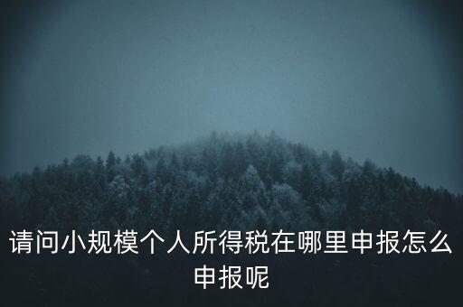 如何申報(bào)自然人兩處所得，請問小規(guī)模個人所得稅在哪里申報(bào)怎么申報(bào)呢