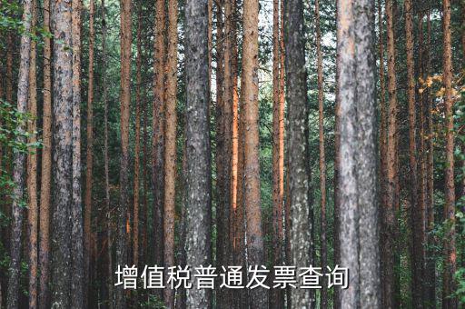如何查詢增值稅普通發(fā)票，增值稅普通發(fā)票查詢