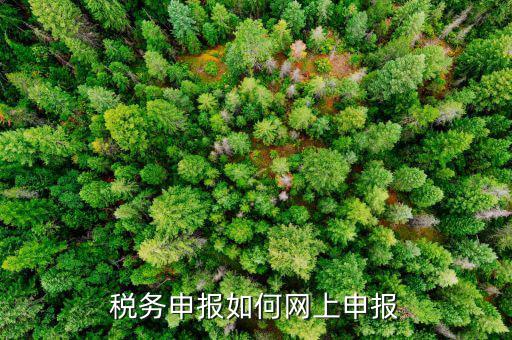 北京國(guó)稅地稅如何網(wǎng)上申報(bào)，稅務(wù)申報(bào)如何網(wǎng)上申報(bào)