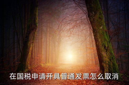 網(wǎng)上申領發(fā)票如何撤銷，已經(jīng)申報了的發(fā)票怎么作廢