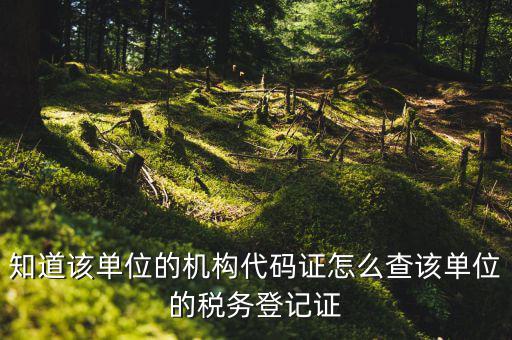 如何查企業(yè)稅務(wù)登記證號，公司的稅務(wù)登記證號怎么查詢