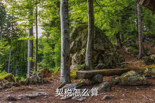 企業(yè)合并契稅如何計(jì)算，求高手解答如何計(jì)算企業(yè)應(yīng)繳納契稅并進(jìn)行契稅的會計(jì)處理