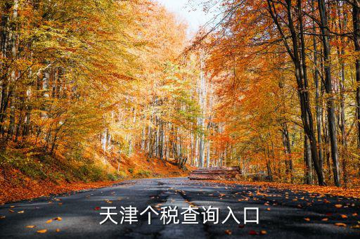 天津個稅如何查詢密碼，天津個稅查詢?nèi)肟?/></a></span><span id=