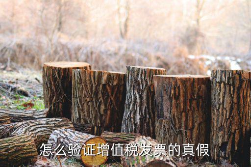 如何驗證增值稅真?zhèn)尾樵?，怎么驗證普通增值稅發(fā)票真假