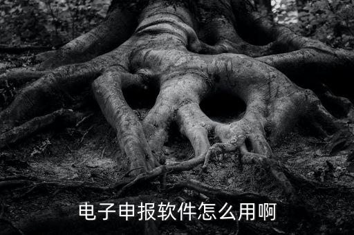 濟(jì)南電子稅務(wù)如何使用，網(wǎng)上辦稅平臺手機(jī)app怎么操作