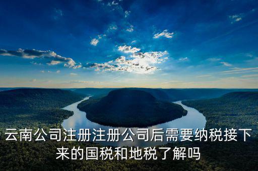云南國(guó)稅如何申報(bào)，云南公司注冊(cè)注冊(cè)公司后需要納稅接下來(lái)的國(guó)稅和地稅了解嗎