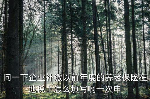 如何補(bǔ)打地稅社會(huì)保險(xiǎn)費(fèi)申報(bào)表，在網(wǎng)上交完社保后要怎樣補(bǔ)打社會(huì)保險(xiǎn)費(fèi)申報(bào)表