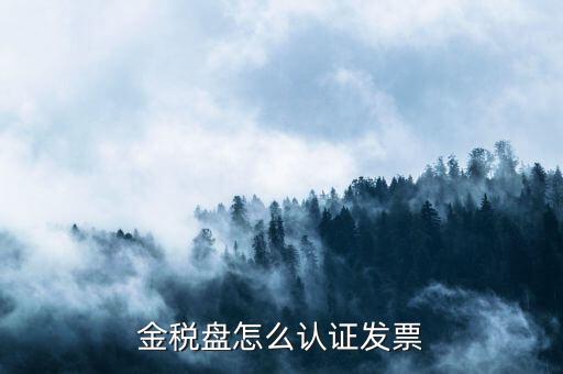如何用金稅盤認(rèn)證發(fā)票，金稅盤怎么認(rèn)證發(fā)票