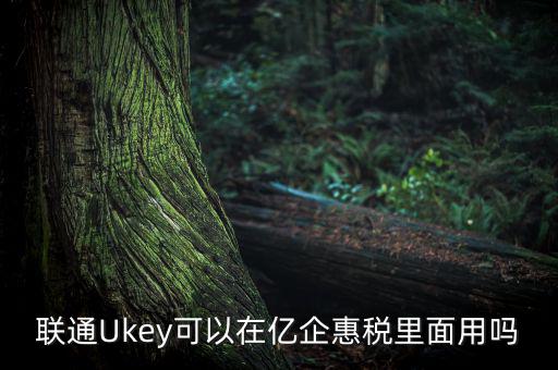 億企惠稅如何填報(bào)，聯(lián)通硬證書里面還贈(zèng)送的其他產(chǎn)品是什么怎么用