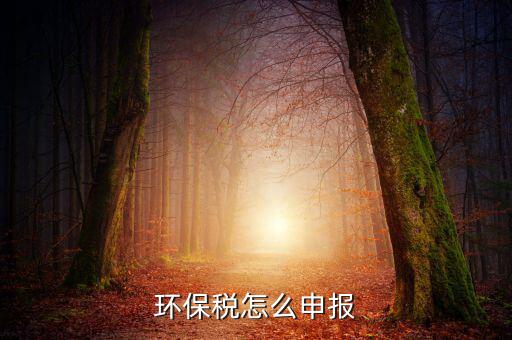 環(huán)境保護稅b類如何申報表，環(huán)保稅申報步驟是什么