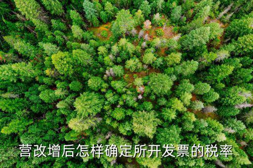 開票時(shí)稅率如何確認(rèn)，發(fā)票的稅是怎么算的是不是數(shù)額越大要繳稅的百分比就越大比