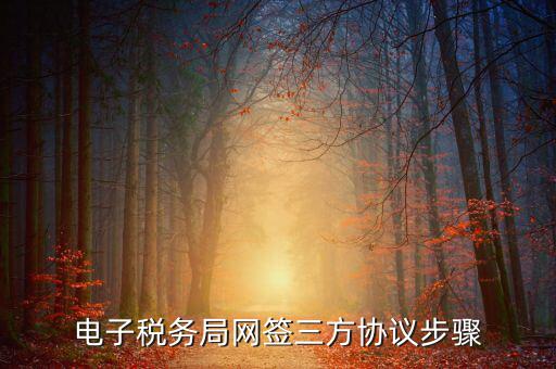 電子稅務局網(wǎng)簽三方協(xié)議步驟