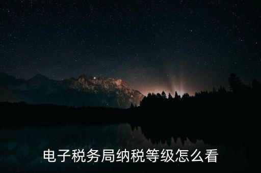 a級納稅人如何查詢，電子稅務(wù)局納稅等級怎么看