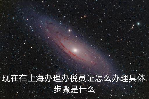 現在在上海辦理辦稅員證怎么辦理具體步驟是什么