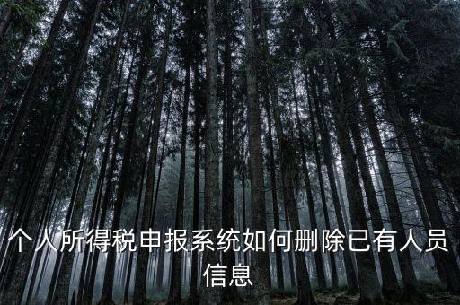 金三系統(tǒng)個(gè)稅申報(bào)人員如何刪除，如何刪掉個(gè)人所得稅人員信息