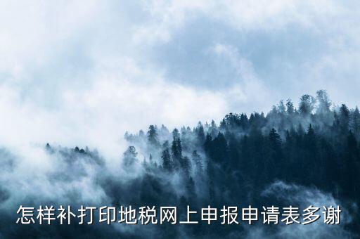 怎樣補(bǔ)打印地稅網(wǎng)上申報申請表多謝