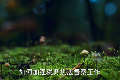 如何加強稅務系統(tǒng)巡視巡察，如何加強稅務執(zhí)法督察工作
